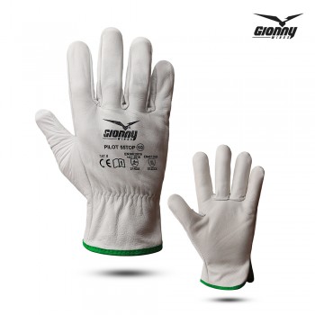 Gionny Wings PILOT 55TOP